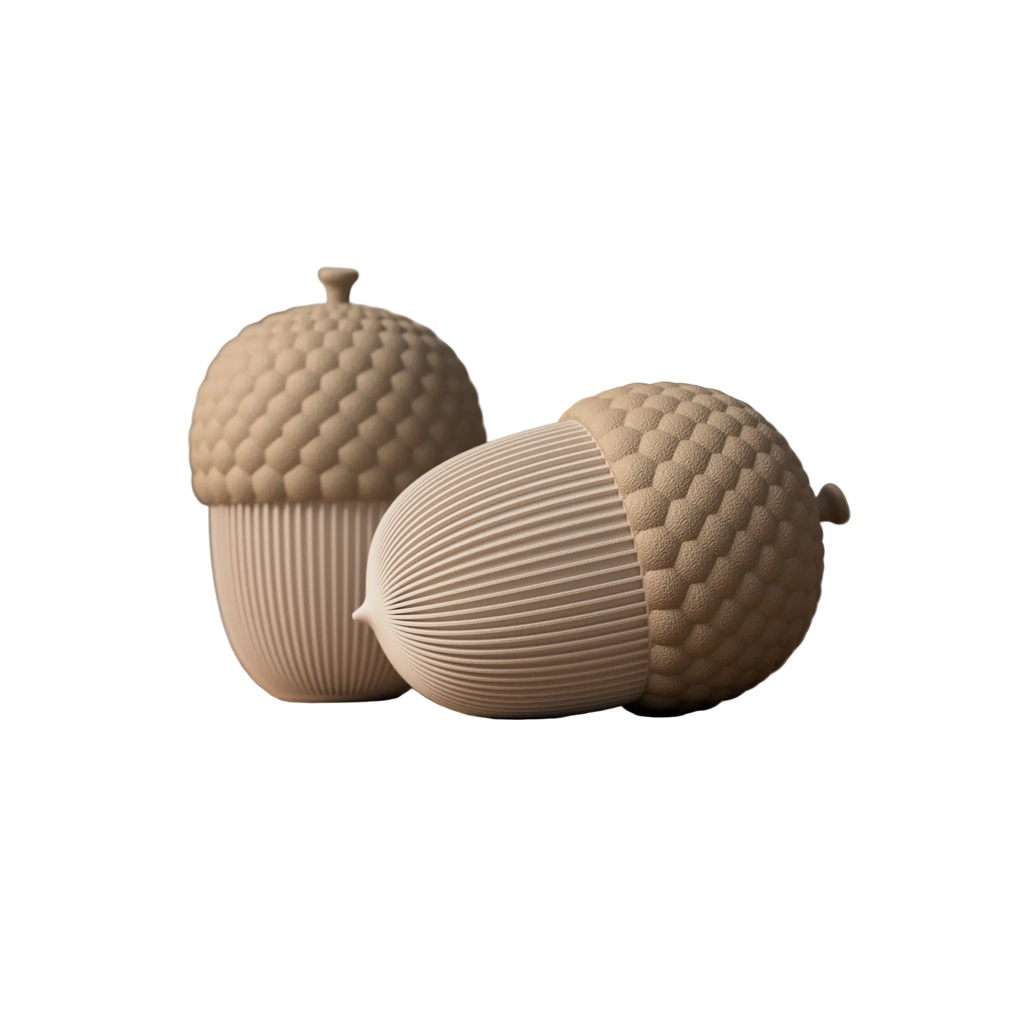 The Acorn