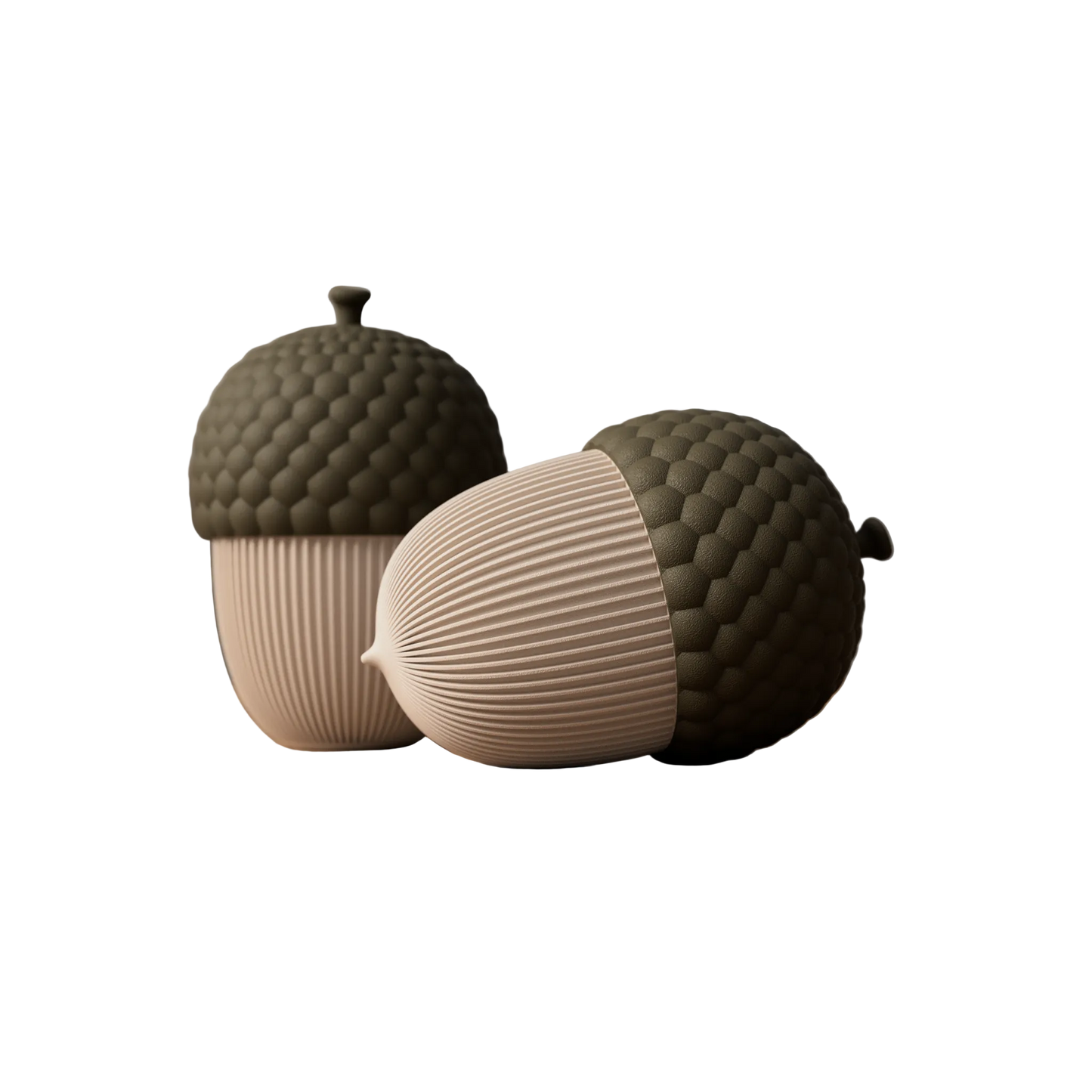 The Acorn
